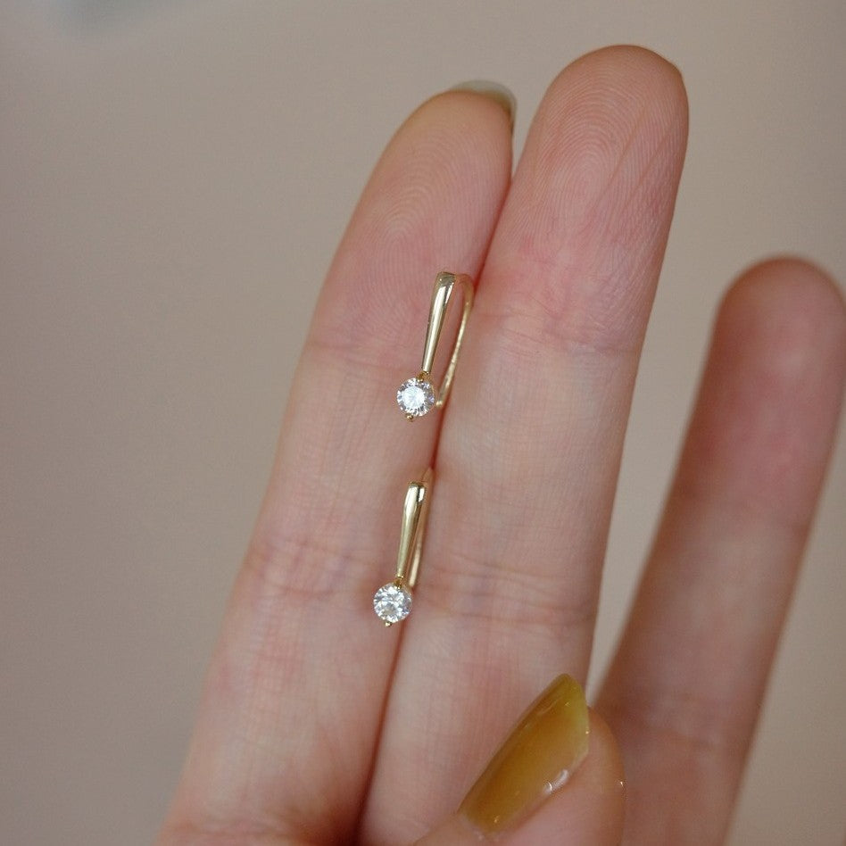 Luminous CZ Hook Earrings