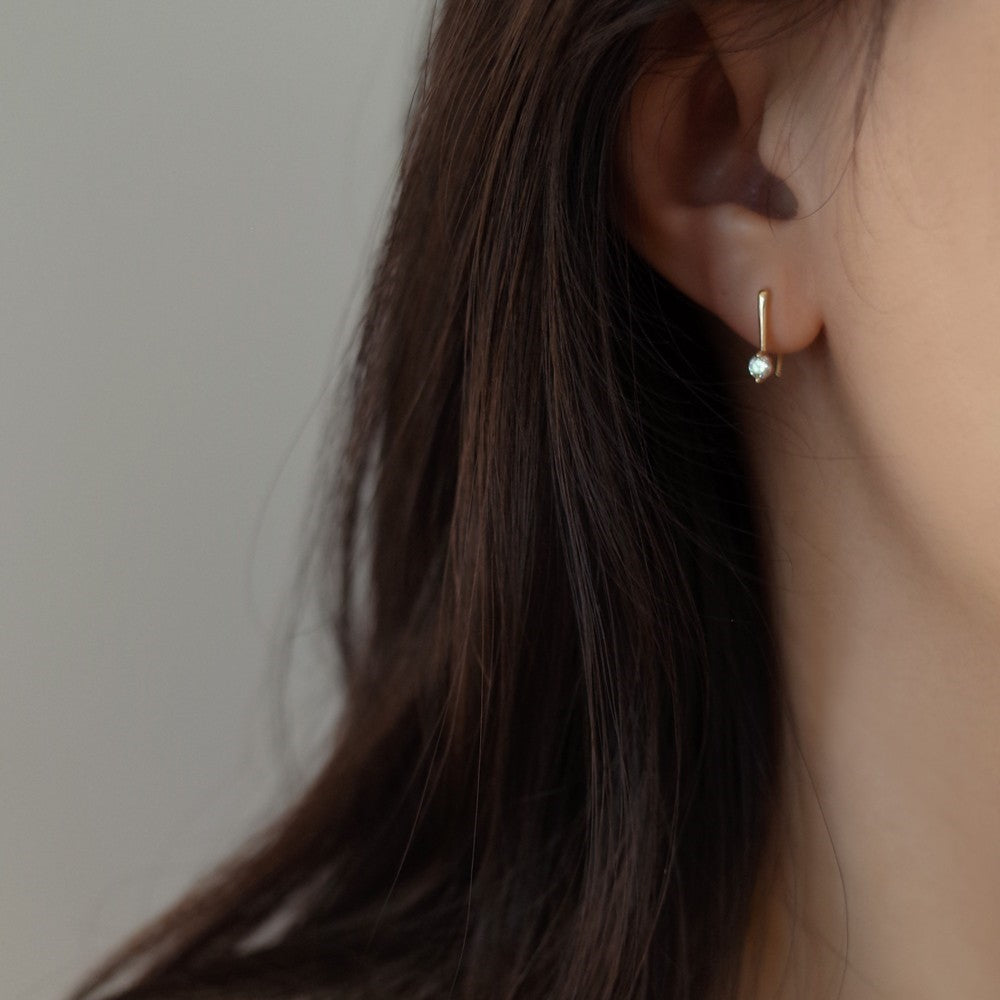 Luminous CZ Hook Earrings