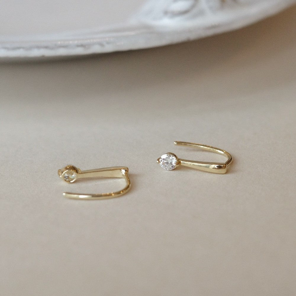 Luminous CZ Hook Earrings